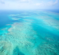 Cairns Holiday Apartments Great Barrier Reef