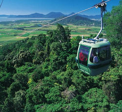 Many Choices of Other Tours and Activities Cairns